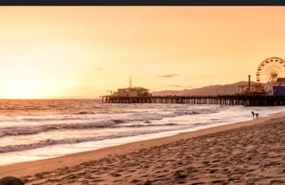 f26d4444 effd 4a IhKOe