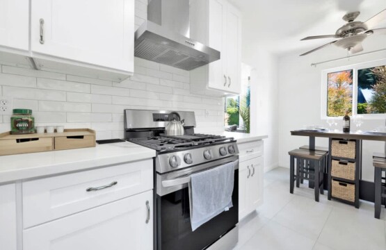 0d074c10 e574 47 sOPu