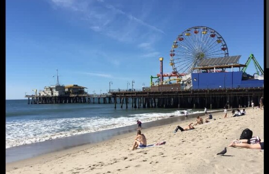 77538da0 fe1a 48 8leFN