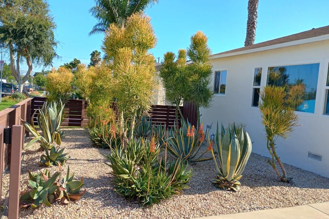 cf0327cd a3f8 44 UBMYh