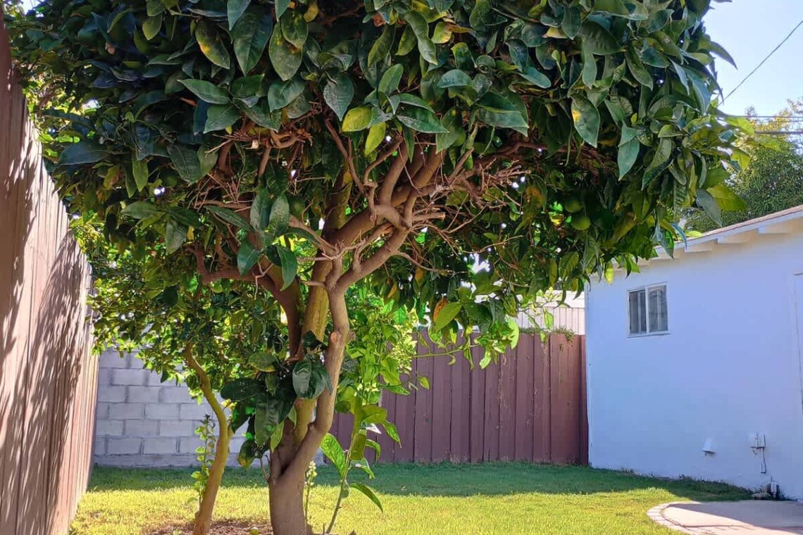 ed4ccc66 aea4 47 wGfqK