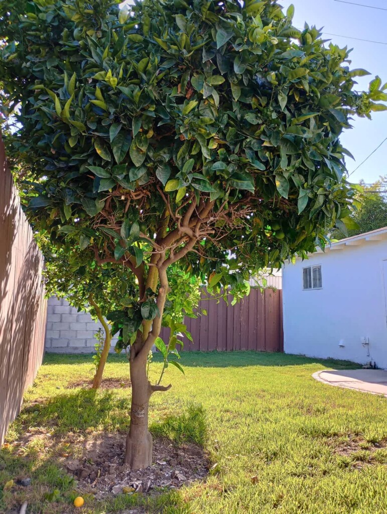 ed4ccc66 aea4 47 wGfqK