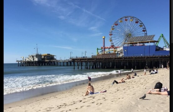 f27a4adb 1f92 47 gcUAo